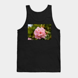 Pink rhododendron flowers Tank Top